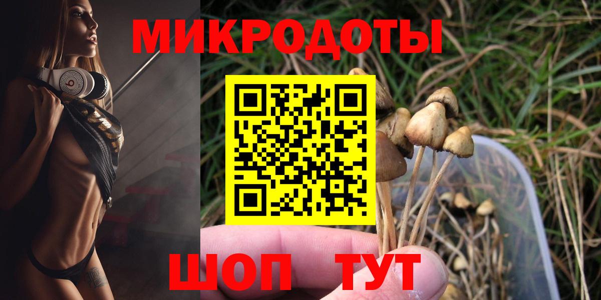 Галлюциногенные грибы Psilocybine cubensis Кушва
